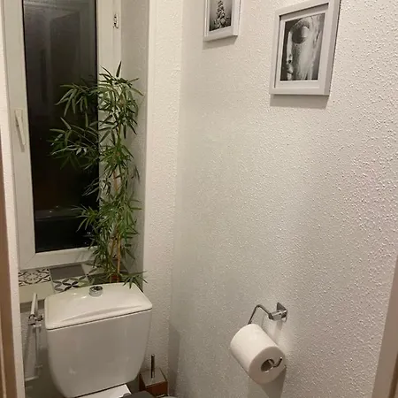 Chez Muriel,t2 De Charme, Parc Ste Marie, Thermal, Mon Desert דירה נאנסי