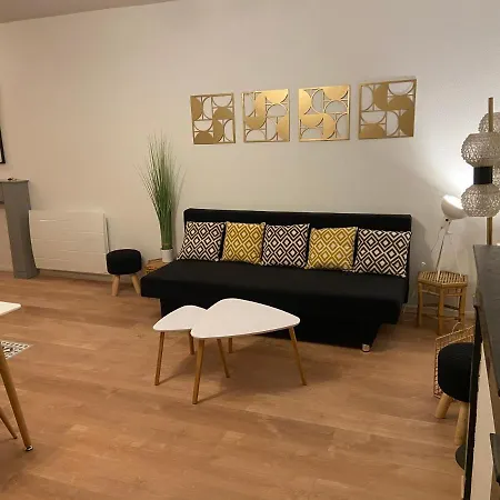 Chez Muriel,t2 De Charme, Parc Ste Marie, Thermal, Mon Desert Apartment Nancy