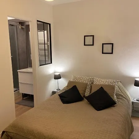 Chez Muriel,t2 De Charme, Parc Ste Marie, Thermal, Mon Desert * Nancy